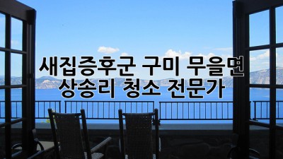 새집증후군? 구미 무을면 상송리 청소 전문가