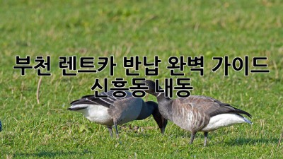 부천 렌트카 반납 완벽 가이드 🚗💨 [신흥동, 내동]